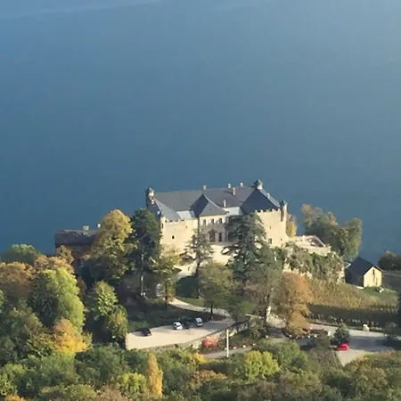Chateau De ホテル Bourdeau